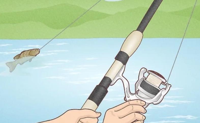 How to Use a Fishing Rod for Beginners: A Step-by-Step Guide