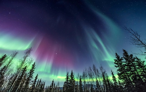 How to See the Northern Lights with Your Phone: A Guide